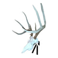 Illusion Skull Master Deer Positioner by Illusion