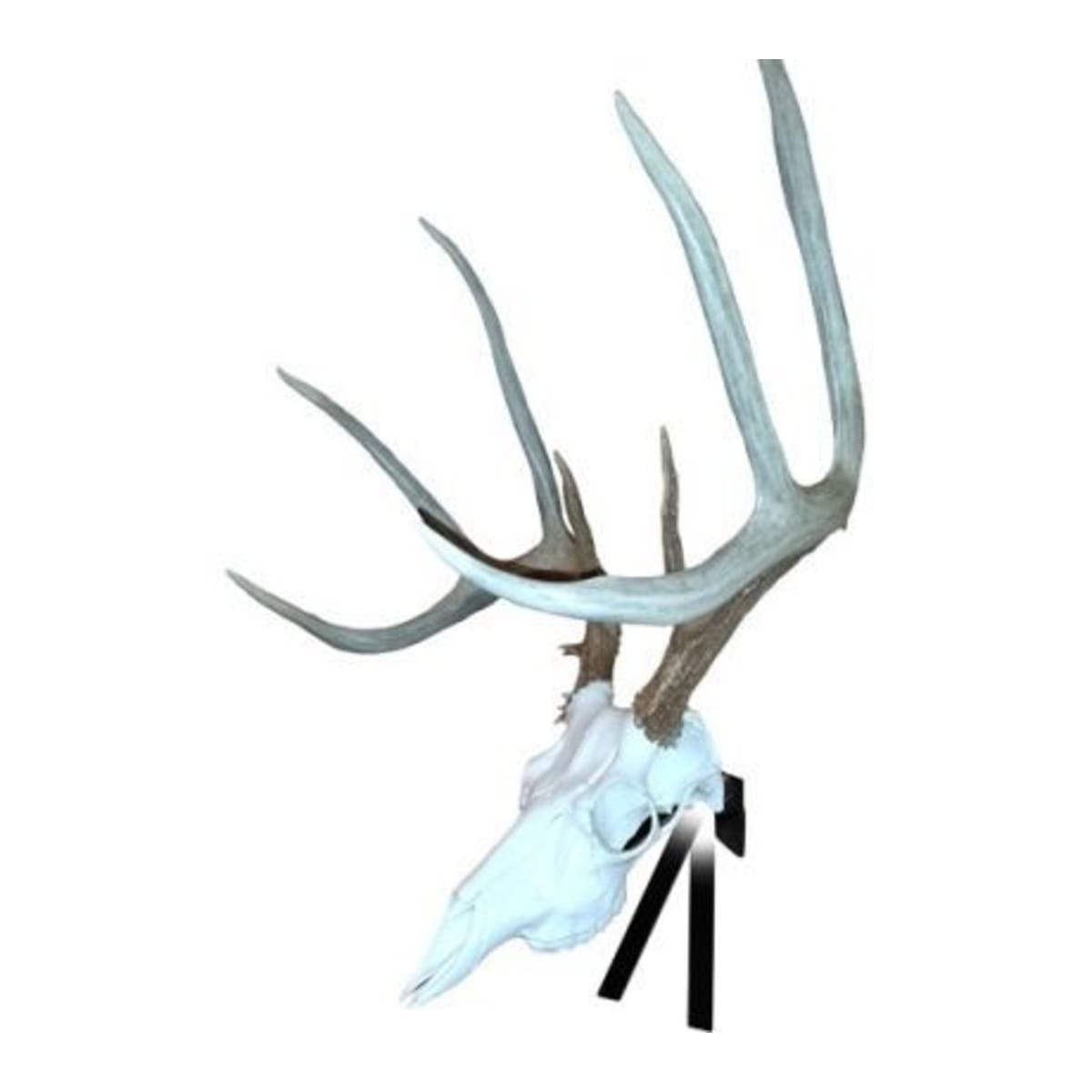 Illusion Skull Master Deer Positioner by Illusion