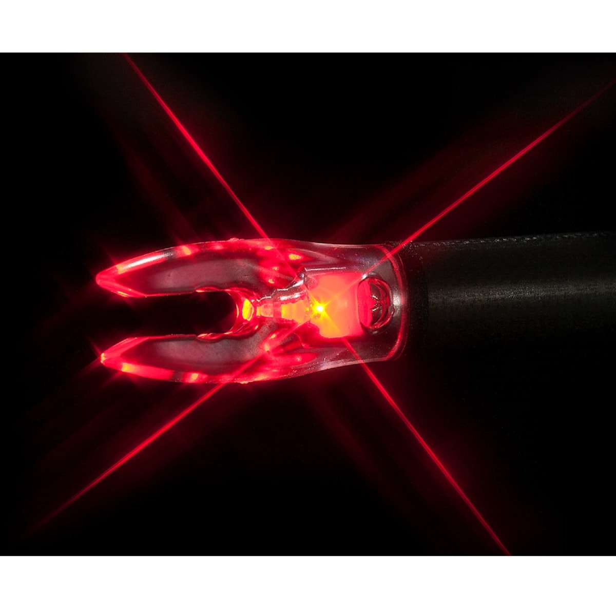 Nockturnal Lighted Nock Universal Fit by Nockturnal