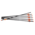 Center Point Archery CP400 Crossbow Arrows 6pk by Center Point Archery