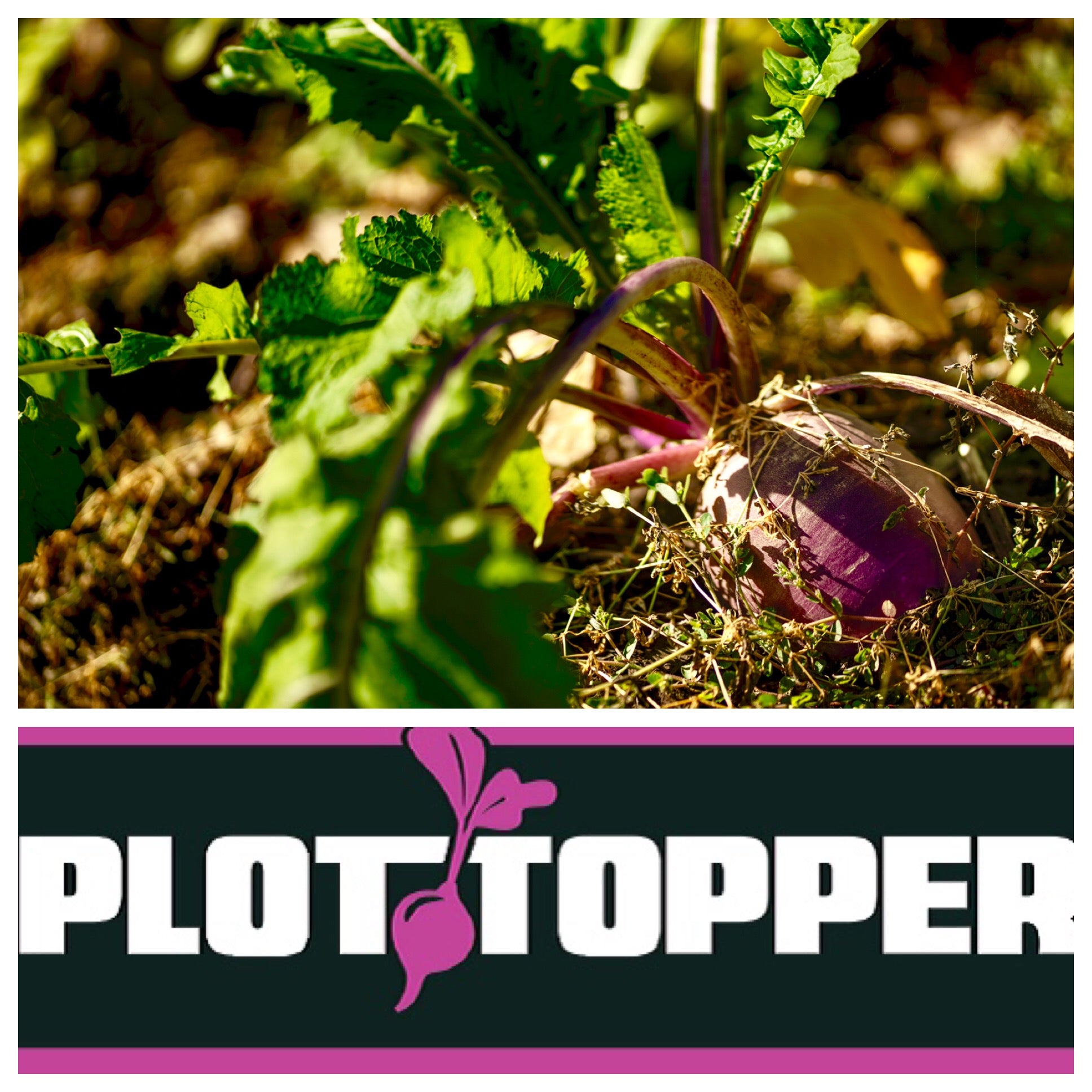 Real World Wildlefe Products Fall Plot Topper