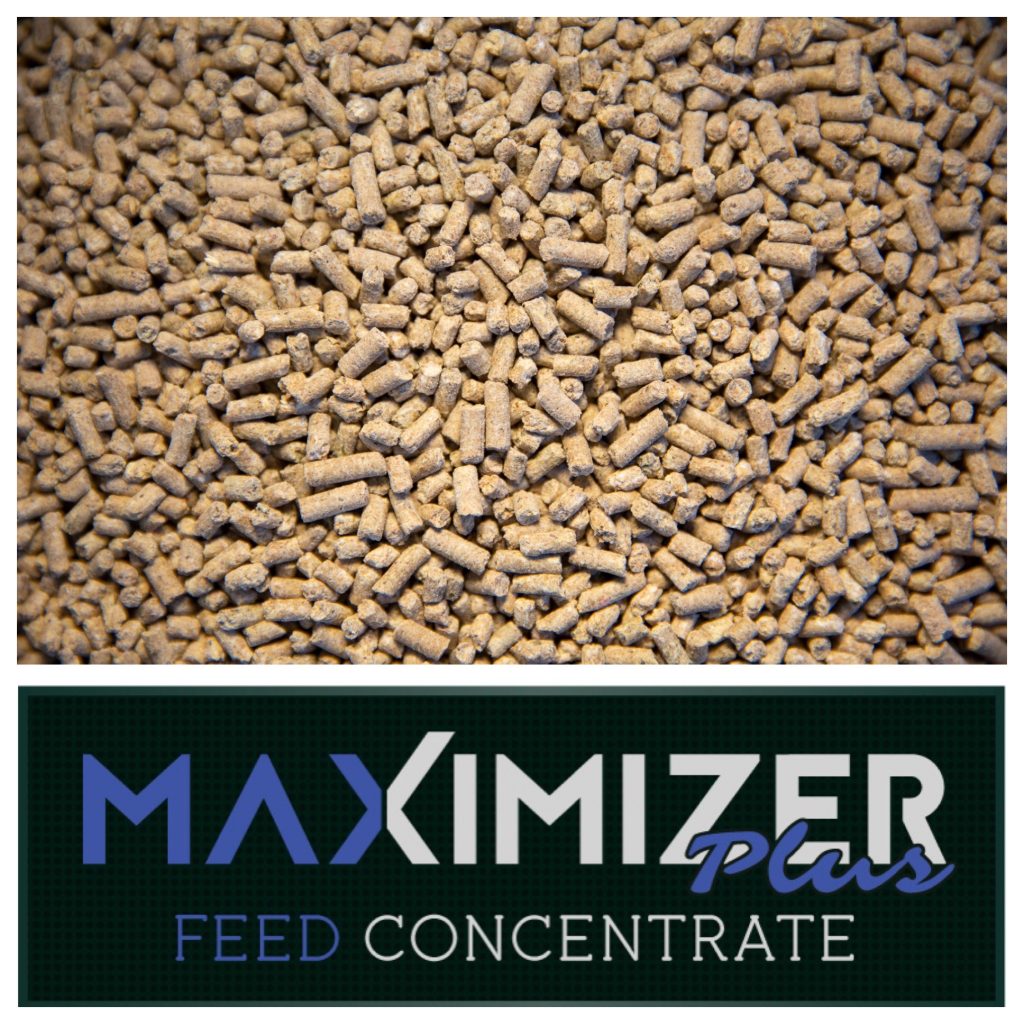 Real World Wildlife Products Maximizer Plus Deer Concentrate