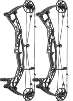 Hoyt Alpha AX-3 29 Bow
