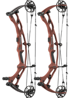 Hoyt Carbon RX-10 SD Bow