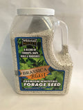 Whitetail Select Brassica Blast