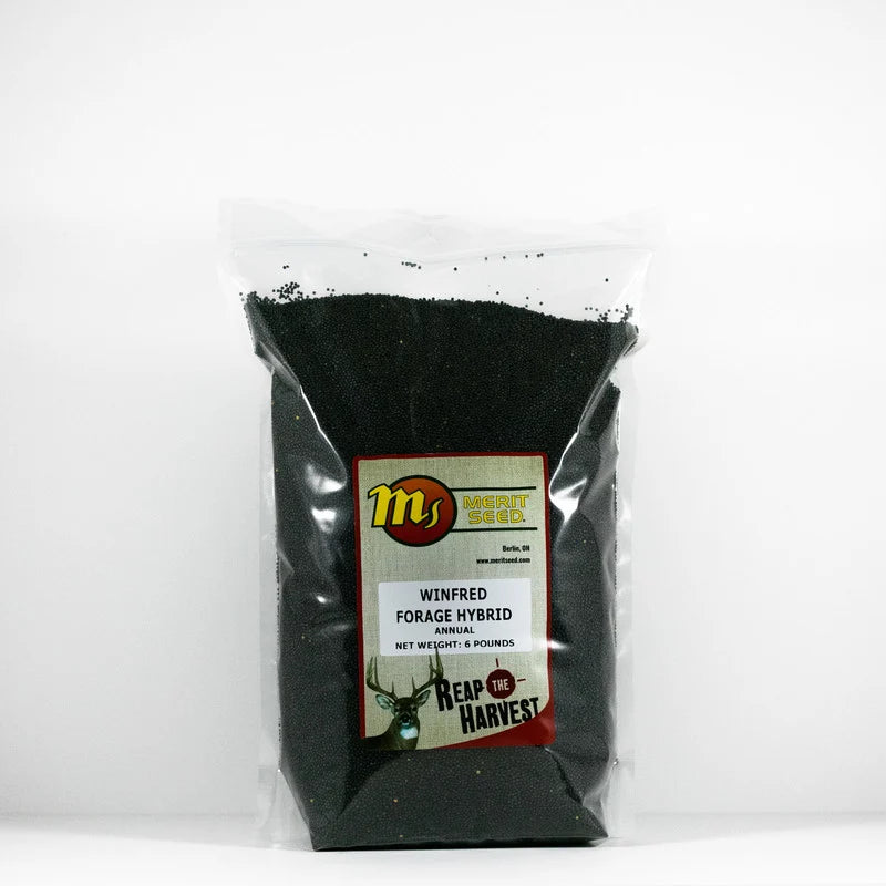 Merit Seed Winfred Forage Hybrid